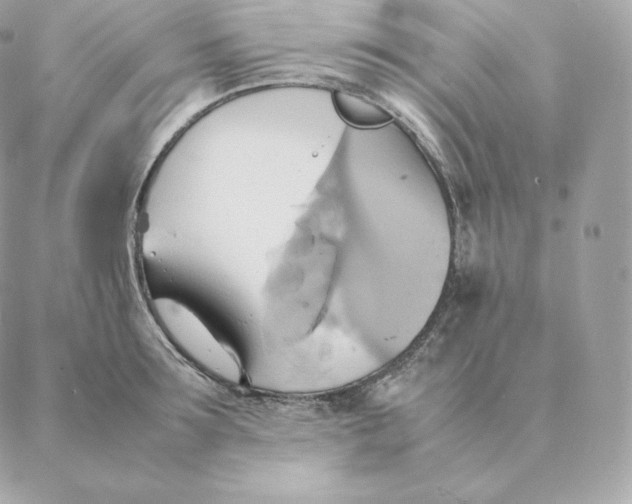 X0000088210899200706051254