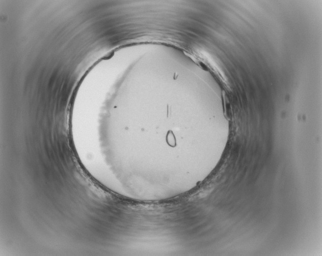 X0000088210900200706051254