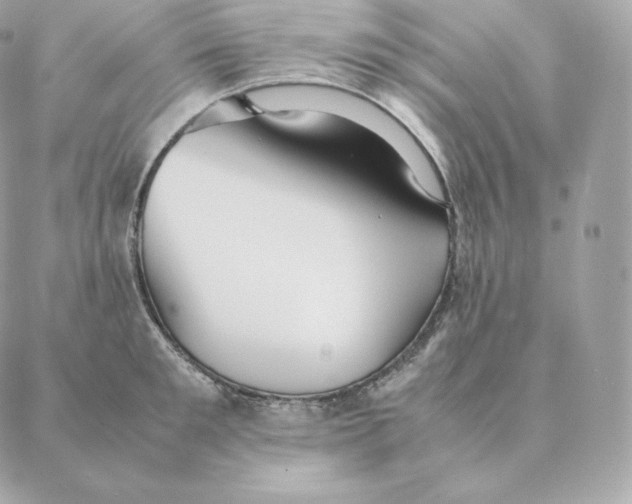 X0000088210901200706051254