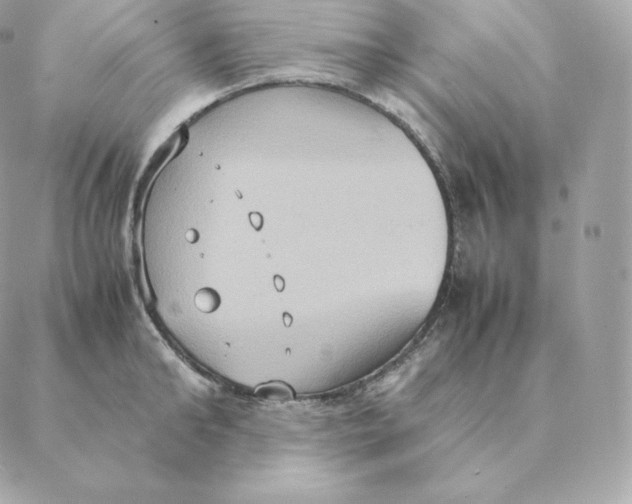 X0000088210902200706051254