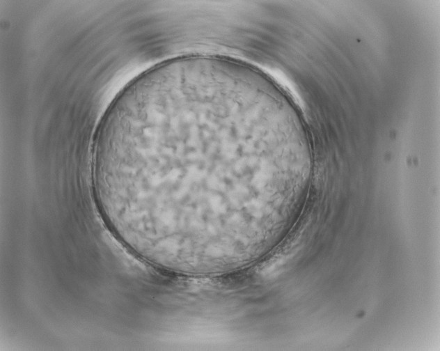 X0000088210903200706051254