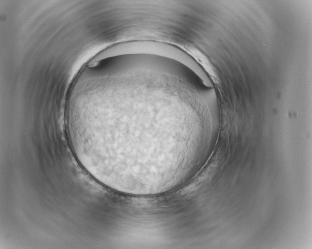 X0000088210904200706051254