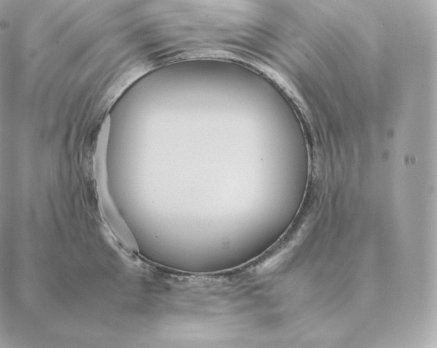 X0000088210905200706051254