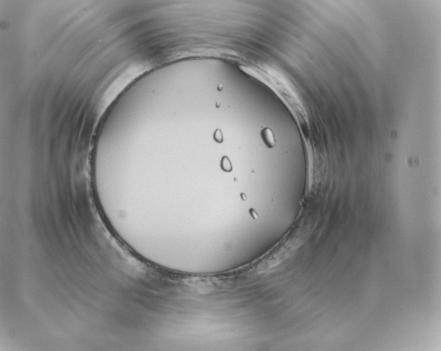 X0000088210906200706051254