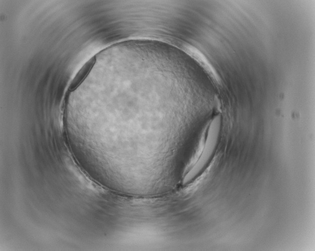 X0000088210908200706051254