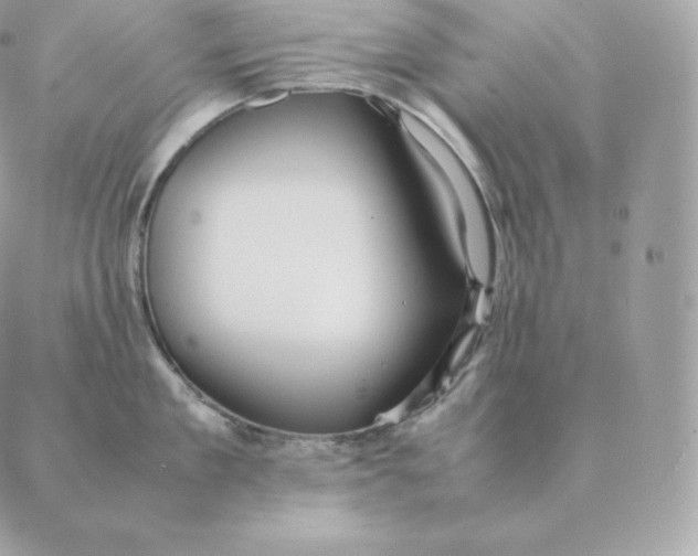 X0000088210909200706051254