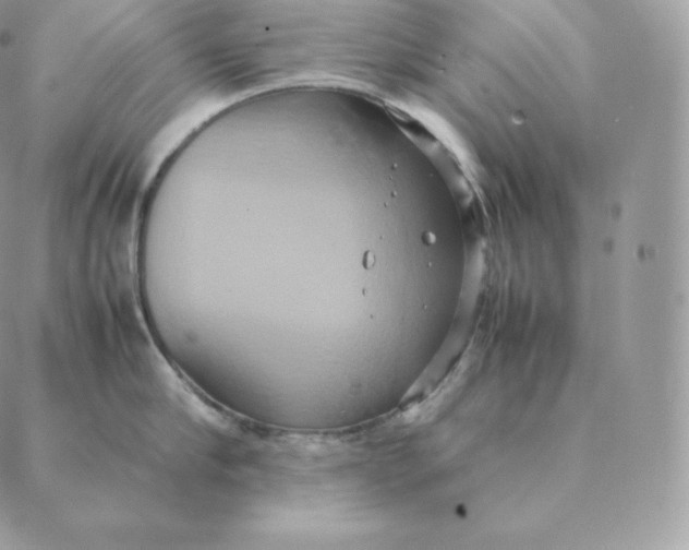 X0000088210910200706051254