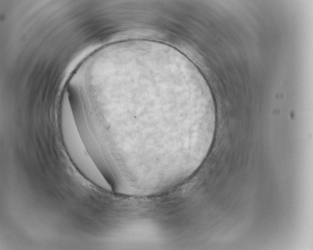 X0000088210912200706051254