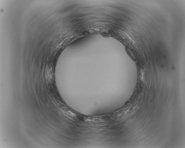 X0000088210915200706051253