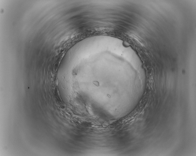 X0000088210917200706051253