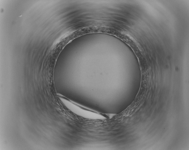 X0000088210919200706051253