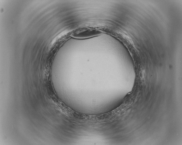 X0000088210920200706051253