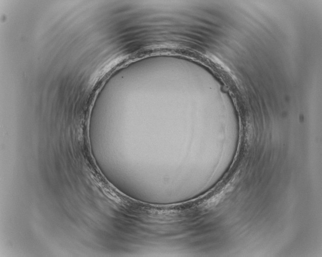 X0000088210921200706051253