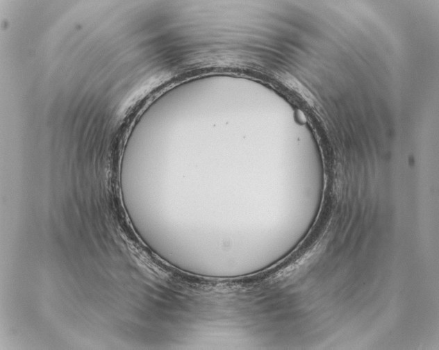 X0000088210922200706051253