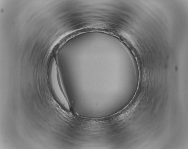 X0000088210923200706051253