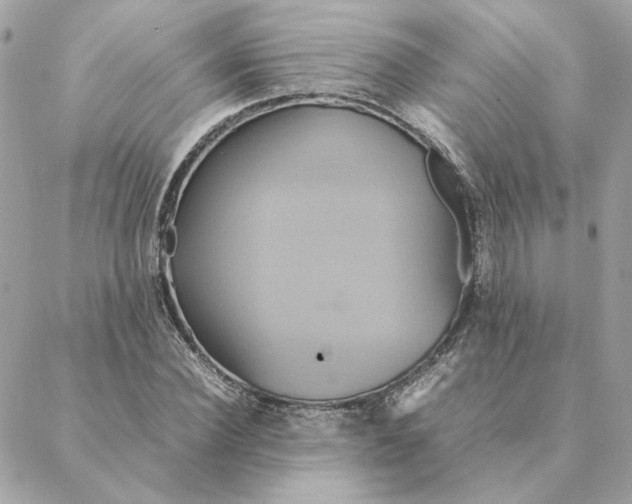 X0000088210924200706051253