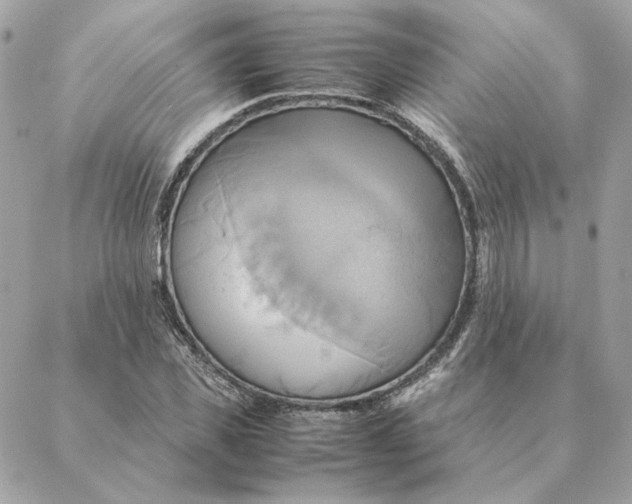 X0000088210925200706051253