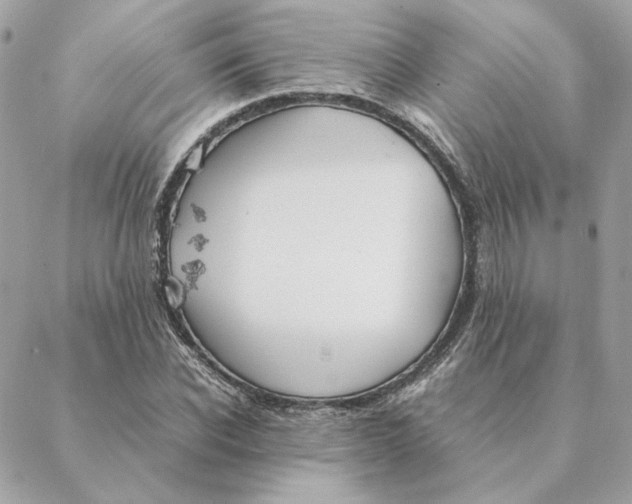 X0000088210926200706051253