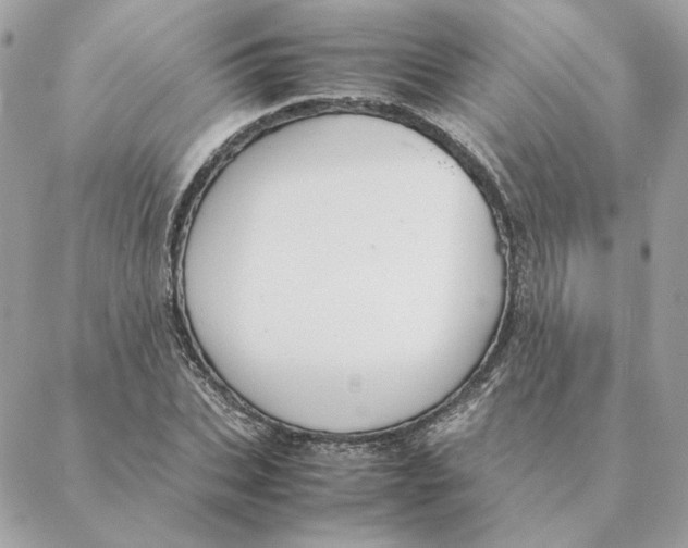 X0000088210927200706051253