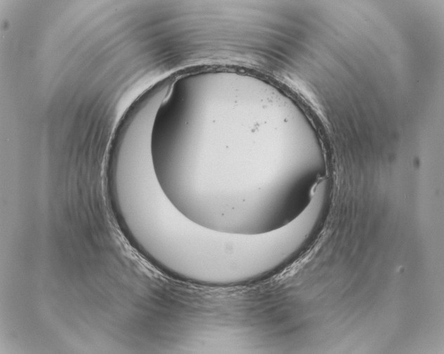 X0000088210928200706051253