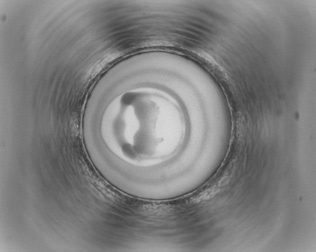 X0000088210929200706051253