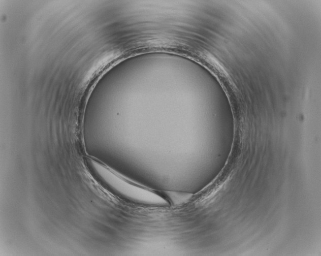 X0000088210930200706051253