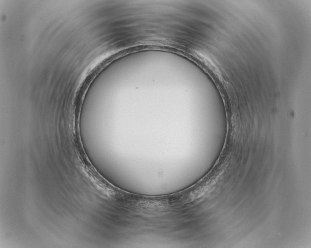 X0000088210931200706051253