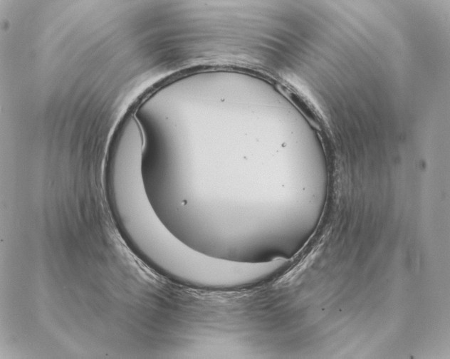 X0000088210932200706051253