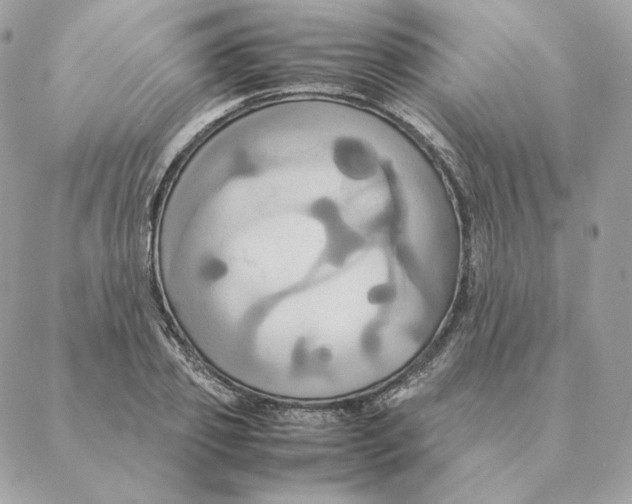 X0000088210933200706051253