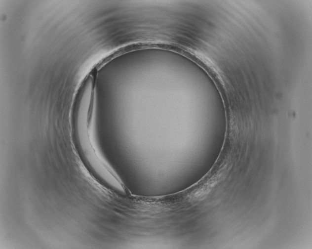 X0000088210935200706051253