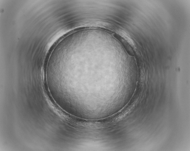 X0000088210936200706051253