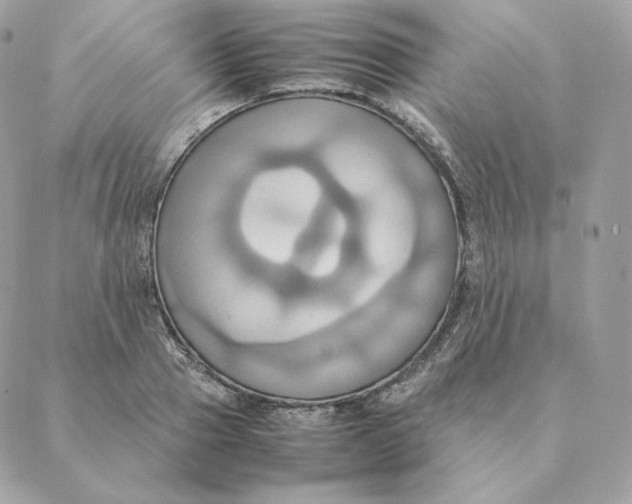 X0000088210937200706051253