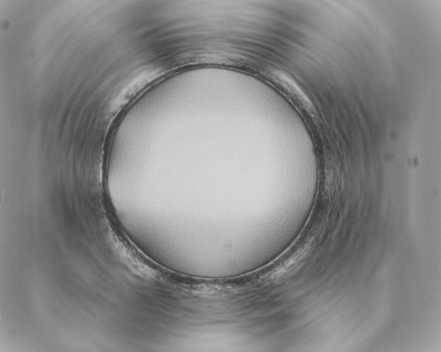 X0000088210938200706051253