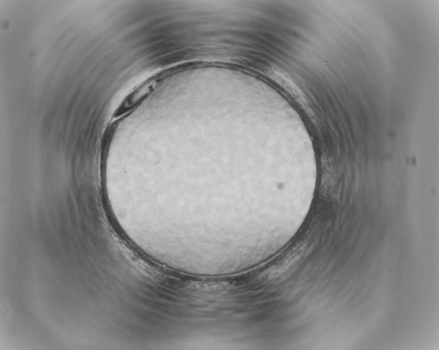 X0000088210939200706051253