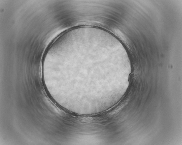 X0000088210940200706051253