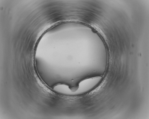 X0000088210941200706051253