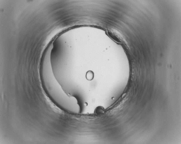 X0000088210942200706051253