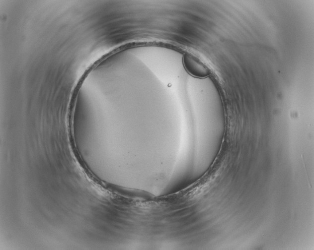 X0000088210943200706051253