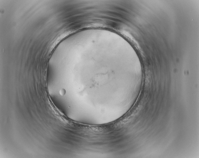 X0000088210945200706051253