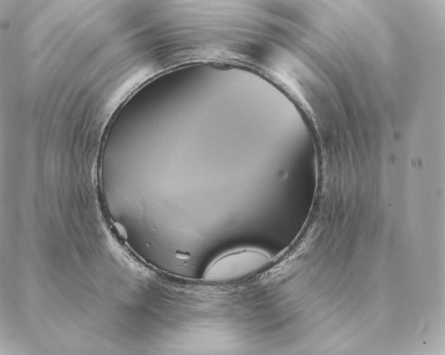 X0000088210946200706051253