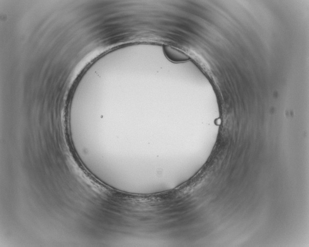 X0000088210947200706051253