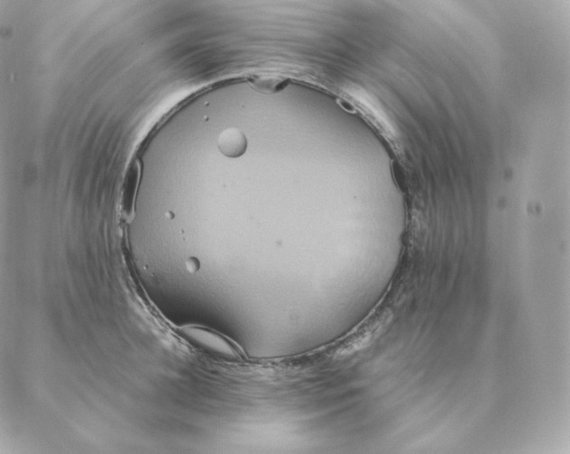 X0000088210948200706051253