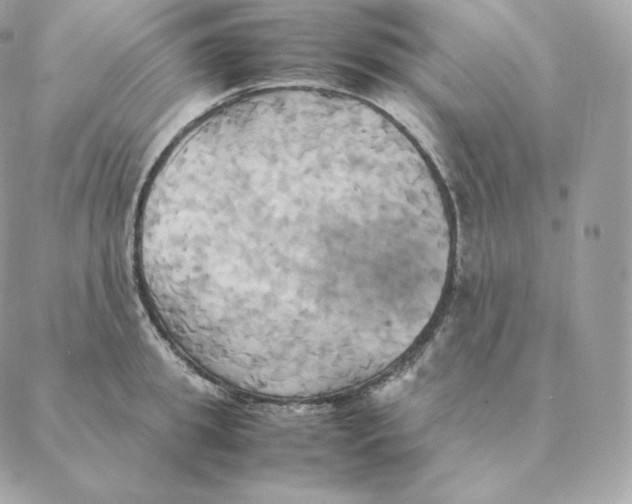 X0000088210949200706051253