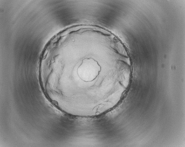 X0000088210950200706051253