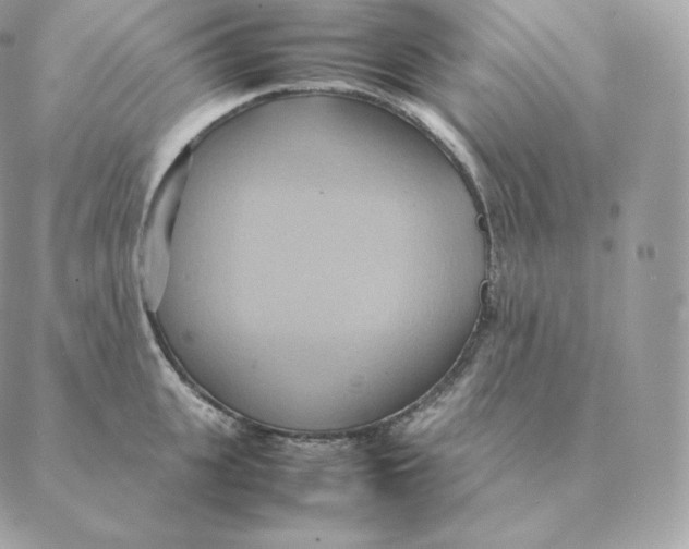 X0000088210951200706051253