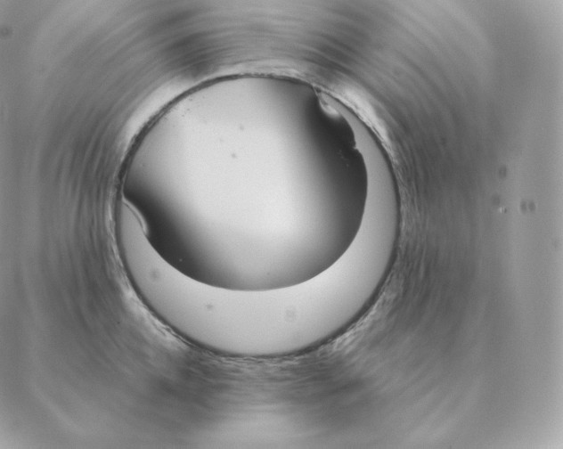 X0000088210952200706051253