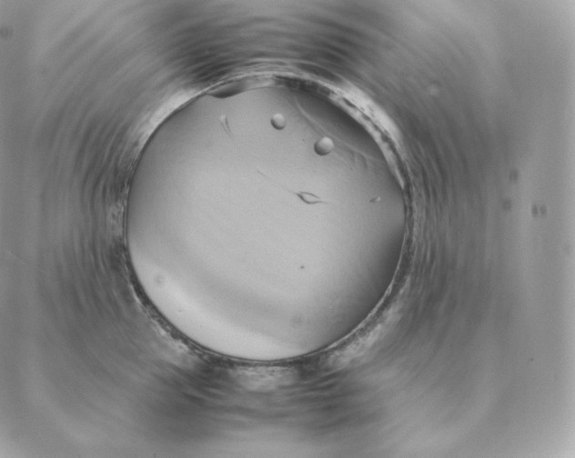 X0000088210953200706051253