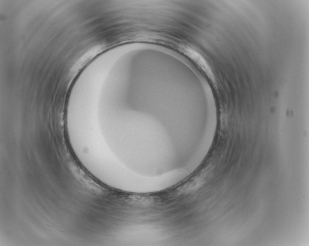 X0000088210954200706051253