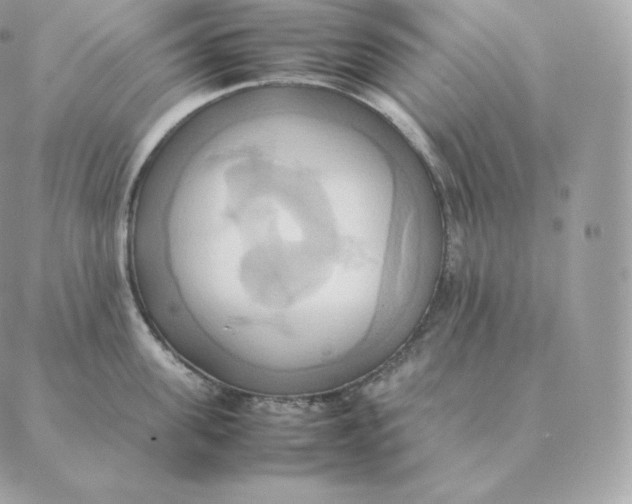 X0000088210955200706051253