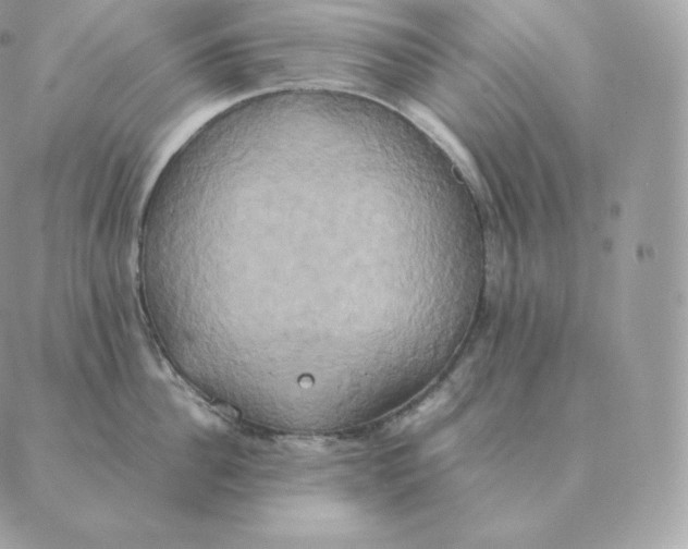 X0000088210956200706051253